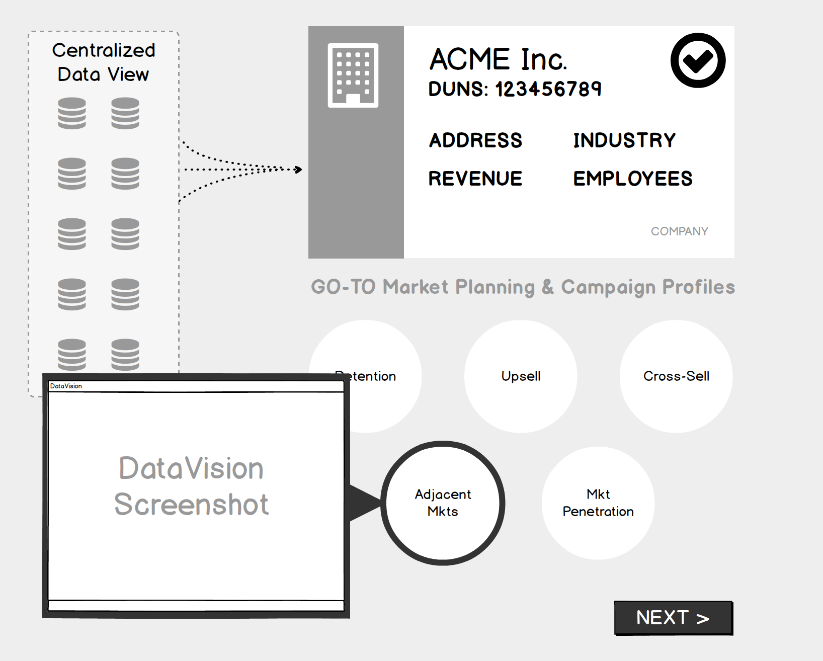 D&B | Master Data Analysis and Education Tool